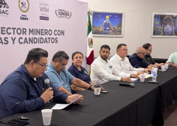 Primordial generar alianzas estratégicas a favor de la industria: Sector minero