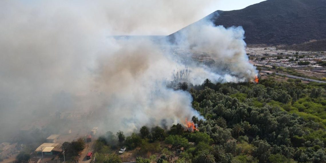 Participan cuerpos de emergencia en control de incendio en zona del Tular.