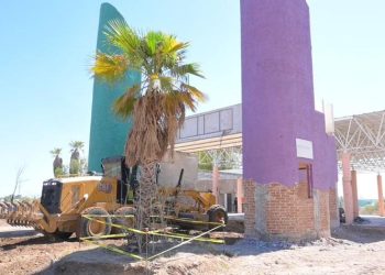 Gobierno de Sonora y grupos ambientalistas trabajan de manera coordinada en la rehabilitación del parque La Sauceda