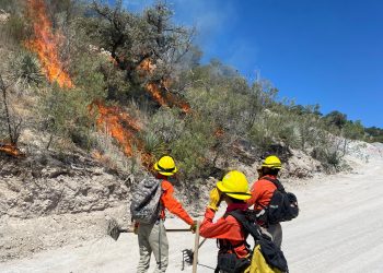 Liquidan incendios forestales en Ímuris