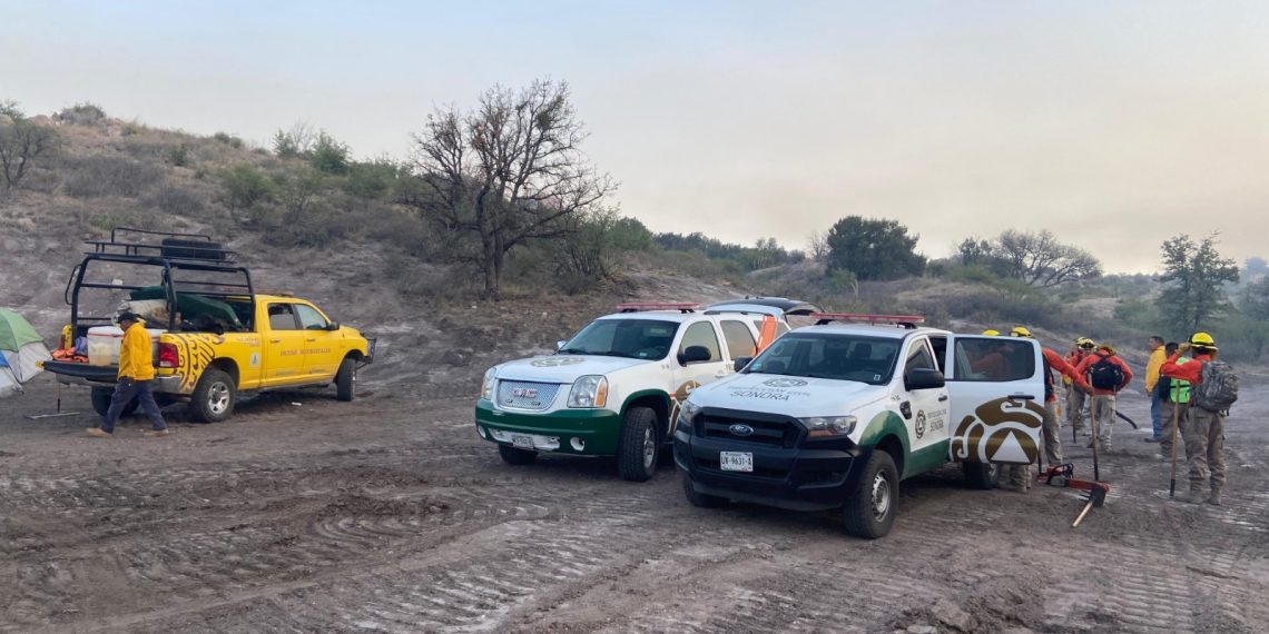 Atienden incendio forestal cerca de frontera con Arizona