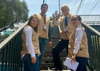 Celebra OEA alta afluencia en casillas