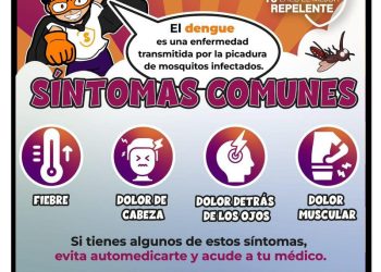Llama Salud Sonora a eliminar criaderos de mosquitos antes de la temporada de lluvias