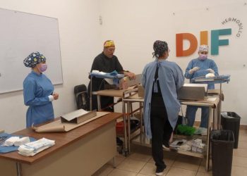 Gobierno de Sonora concluye con éxito Jornada de Esterilización animal en Hermosillo