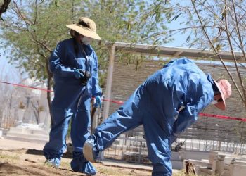 Por exhumar cuerpos de tumbas, arrestan a sujeto en el Panteón Yáñez