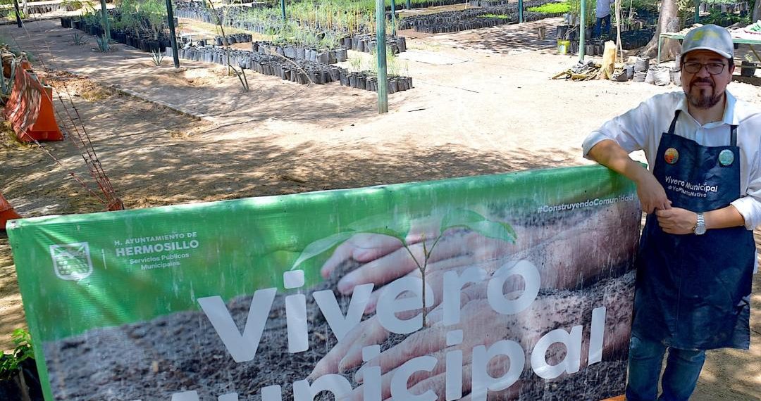 Regala Vivero Municipal de Hermosillo 500 árboles de especies nativas