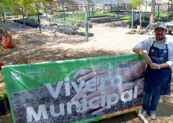 Regala Vivero Municipal de Hermosillo 500 árboles de especies nativas
