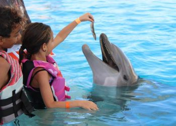 Invita Gobierno de Sonora a visitar las riquezas naturales y lugares de esparcimiento del Estado