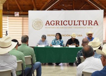 Trabaja Gobierno de Sonora en reconversión de cultivo y apoyos para productores de Sonora