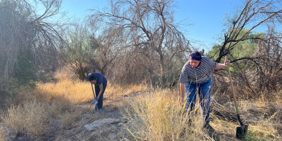 Fortalece Creson acciones para el cuidado ambiental con estrategia “Creson Sostenible”