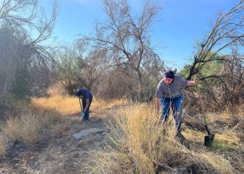 Fortalece Creson acciones para el cuidado ambiental con estrategia “Creson Sostenible”