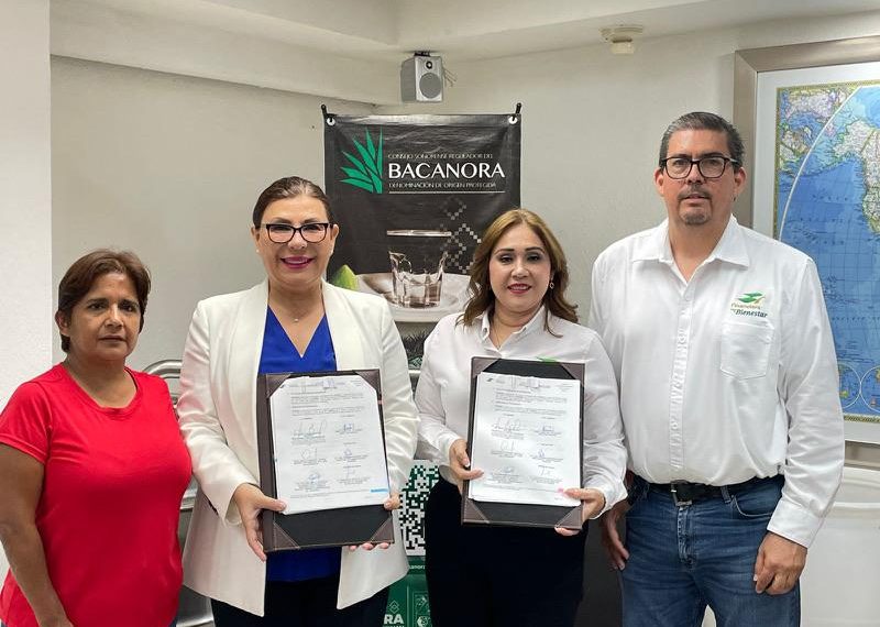 Firman convenio de colaboración Consejo Sonorense Regulador del Bacanora y Financiera para el Bienestar