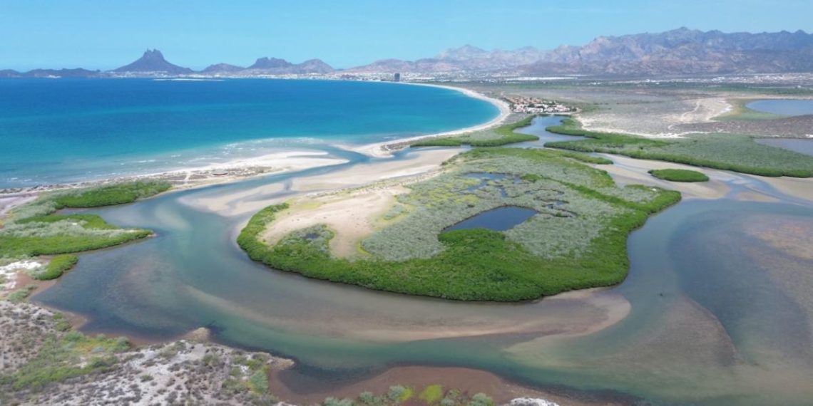 Gobierno de Sonora Impulsa el Ecoturismo y la conciencia ambiental en Estero “El Soldado”