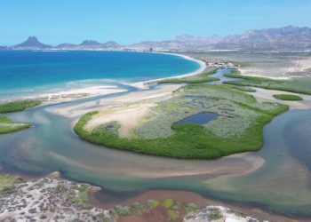 Gobierno de Sonora Impulsa el Ecoturismo y la conciencia ambiental en Estero “El Soldado” 