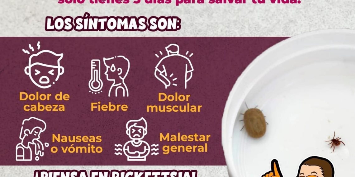 Trabaja Salud Sonora en acciones preventivas contra fiebre manchada por rickettsia rickettsii
