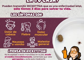Trabaja Salud Sonora en acciones preventivas contra fiebre manchada por rickettsia rickettsii