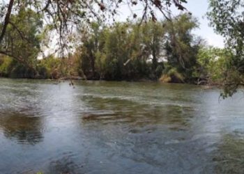 Por mortandad de peces, cierran paseos en Cajeme