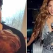 Shakira y su ex, Antonio de la Rúa, habrían cenado juntos