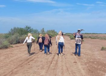 Buscadoras localizan ocho fosas clandestinas en el sur de Sonora