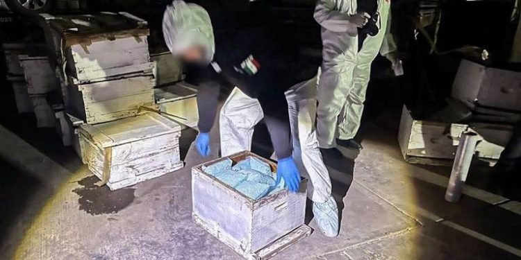 EU incauta 442 millones de dosis de fentanilo en la frontera con México en los últimos 5 meses