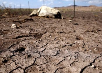 ‘Tumba’ sequía la actividad económica