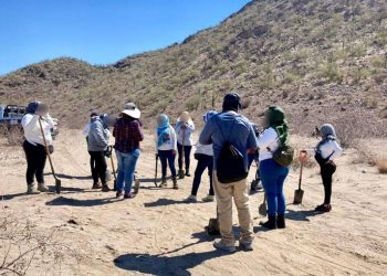 Colectivo localiza restos óseos en el poblado Miguel Alemán