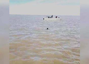 Localizan las autoridades a una mujer flotando en el Golfo de Santa Clara