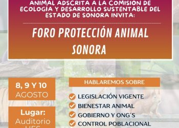 Anuncia el Gobierno de Sonora Primer Foro de Protección Animal