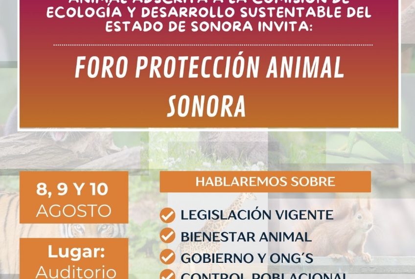 Anuncia el Gobierno de Sonora Primer Foro de Protección Animal