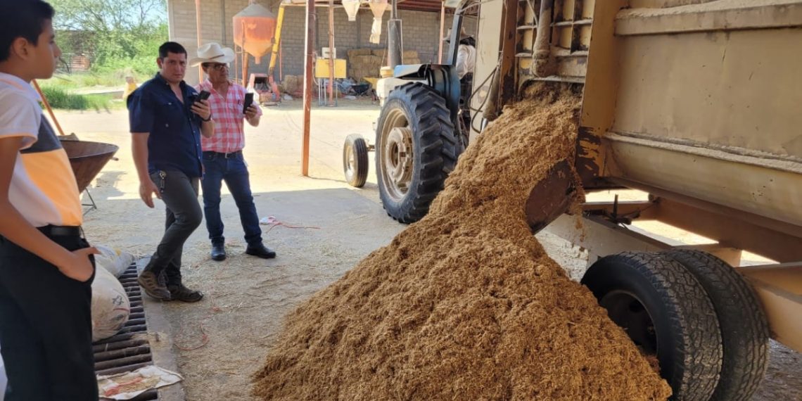 Sagarhpa y UGRS capacitan a ganaderos para conservar bagazo