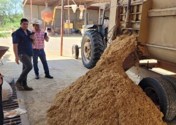 Sagarhpa y UGRS capacitan a ganaderos para conservar bagazo