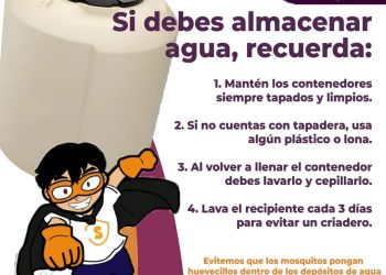 Sonora con seis semanas sin casos positivos de dengue