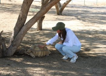 “La Jungla”: nueva área en el CES ofrece una interacción con animales 