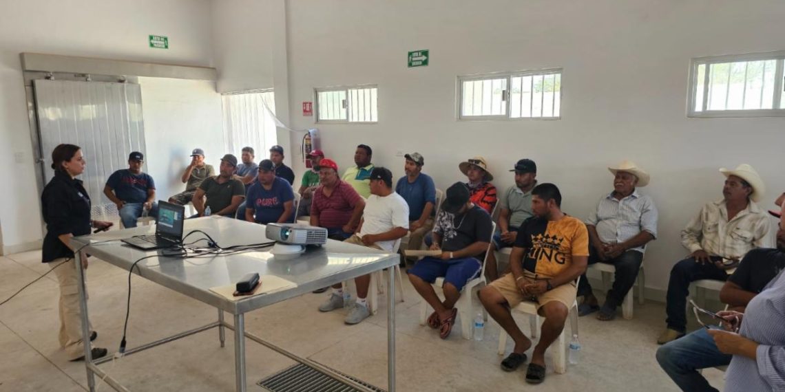 Mantiene Gobierno de Sonora capacitación a pescadores 