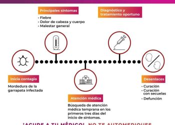 Salud Sonora mantiene a la baja mortalidad por rickettsiosis