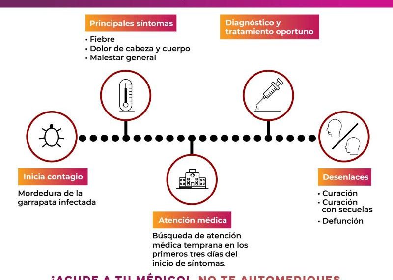 Salud Sonora mantiene a la baja mortalidad por rickettsiosis
