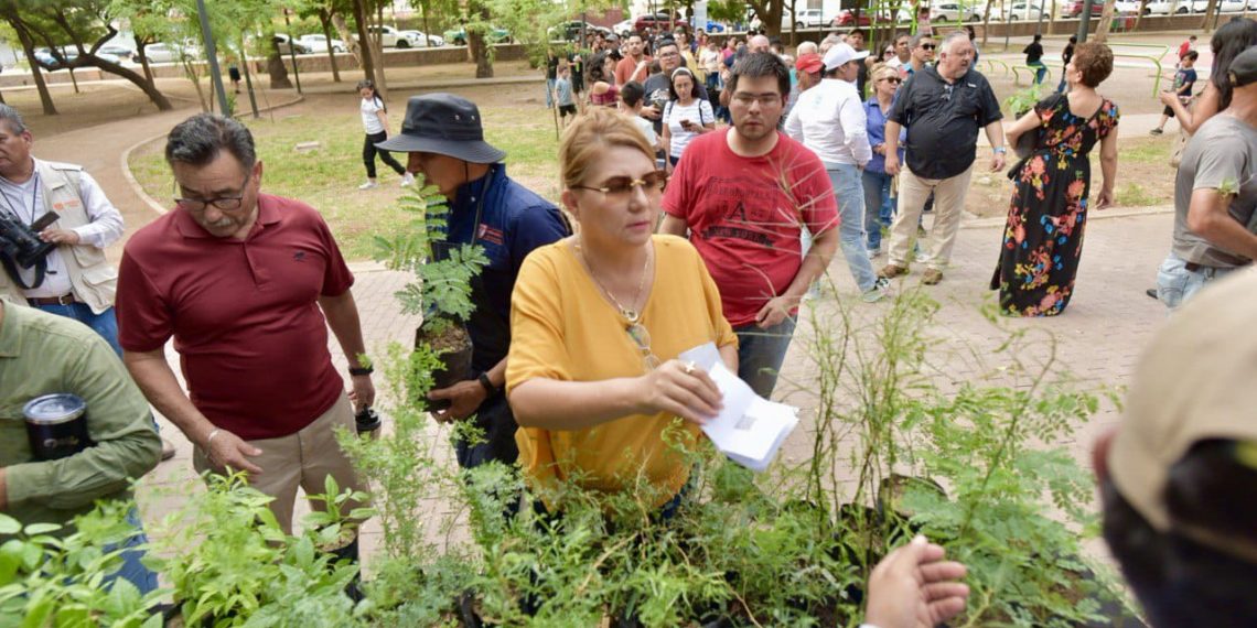¿Quieres un árbol nativo?acude al Vivero Municipal
