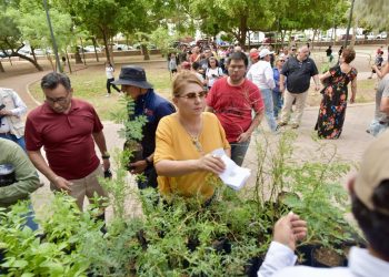 ¿Quieres un árbol nativo?acude al Vivero Municipal