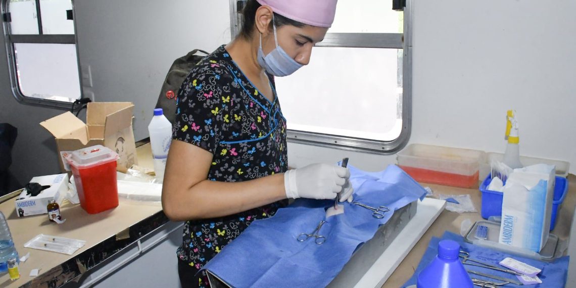 Invitan a aprovechar el servicio gratuito de esterilización de mascotas en Hermosillo