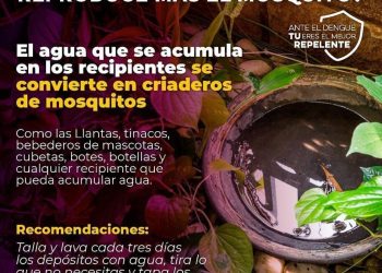 Llama Salud Sonora a mantener hogares limpios y prevenir el dengue
