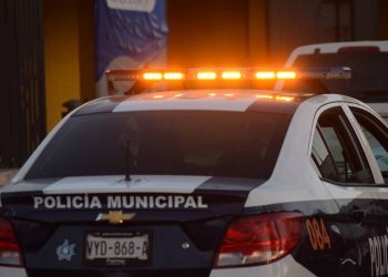 Hallan cuerpos en descomposición en Miguel Alemán y “La Pirinola”