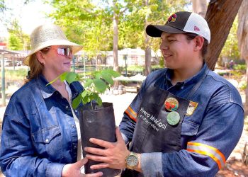 Donará Gobierno de Hermosillo árboles nativos