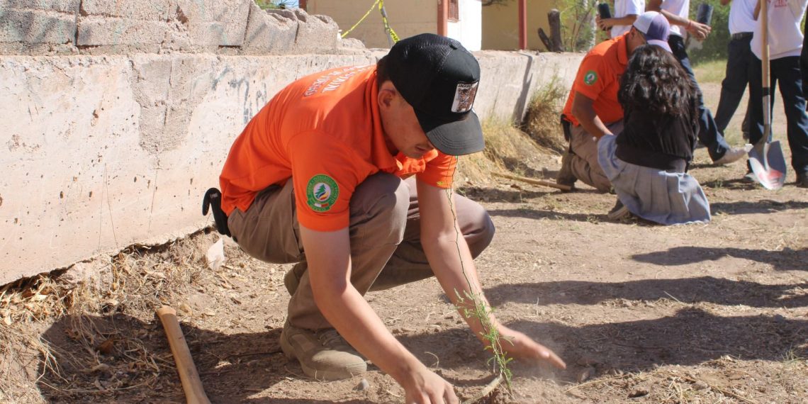 Realizan reforestación en escuela secundaria