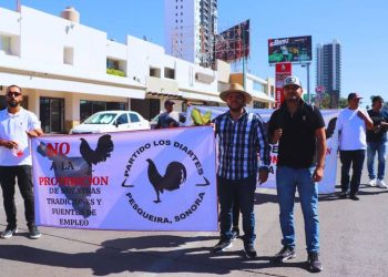 Diputado niega retrasos en la aprobación de la Ley de Protección y Bienestar Animal