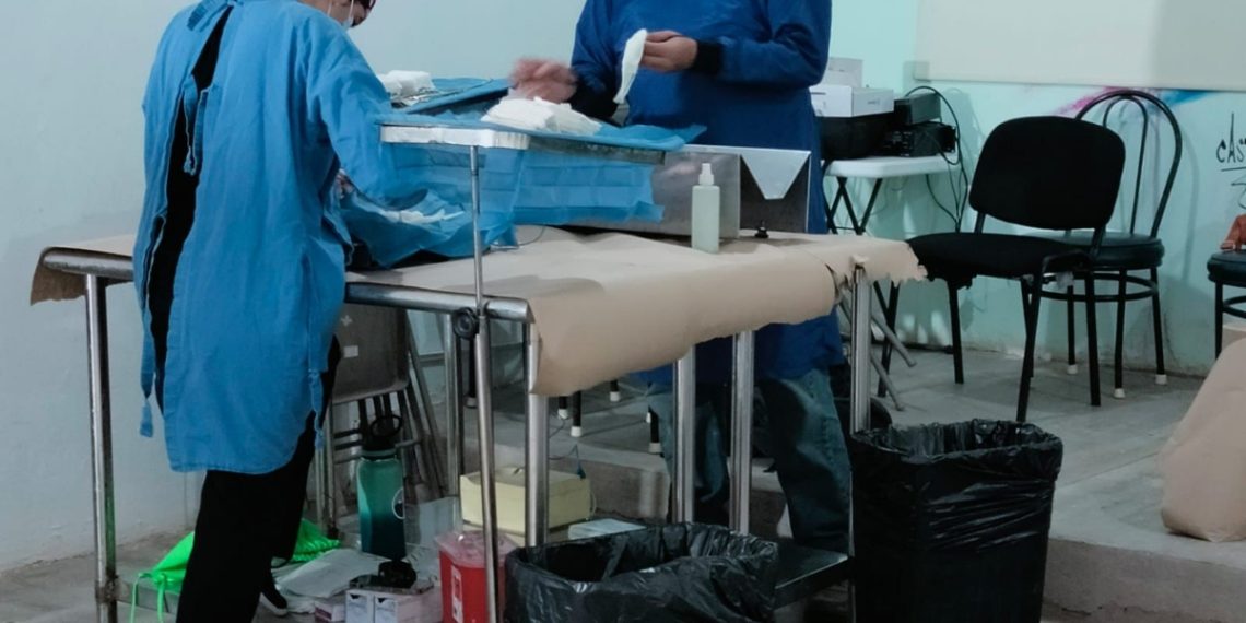 Atiende Bienestar Animal a más de 600 animales de compañía en septiembre