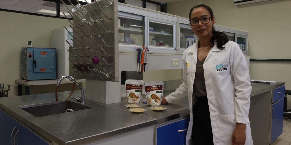 Publica prestigiosa revista internacional investigación de la Universidad Tecnológica de SLRC