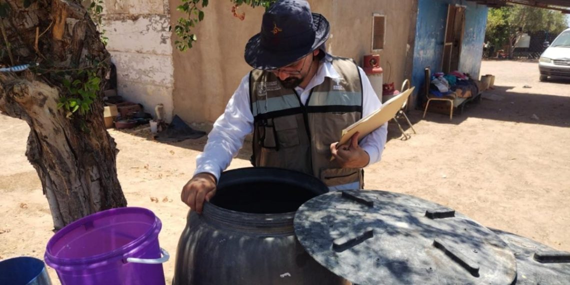 Mantiene Gobierno de Sonora acciones contra el mosquito transmisor del dengue