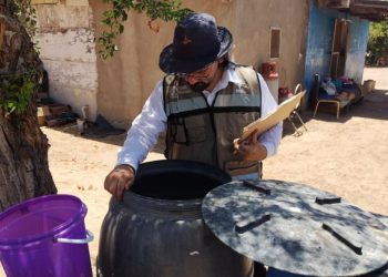 Mantiene Gobierno de Sonora acciones contra el mosquito transmisor del dengue