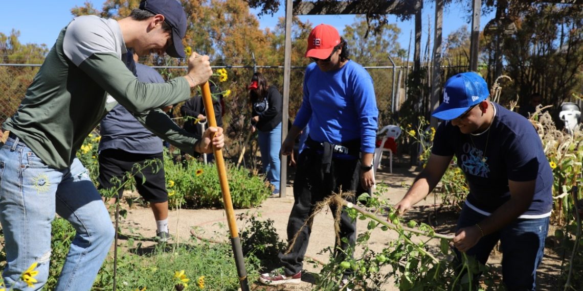 Futuros docentes se capacitan para crear huertos escolares sustentables