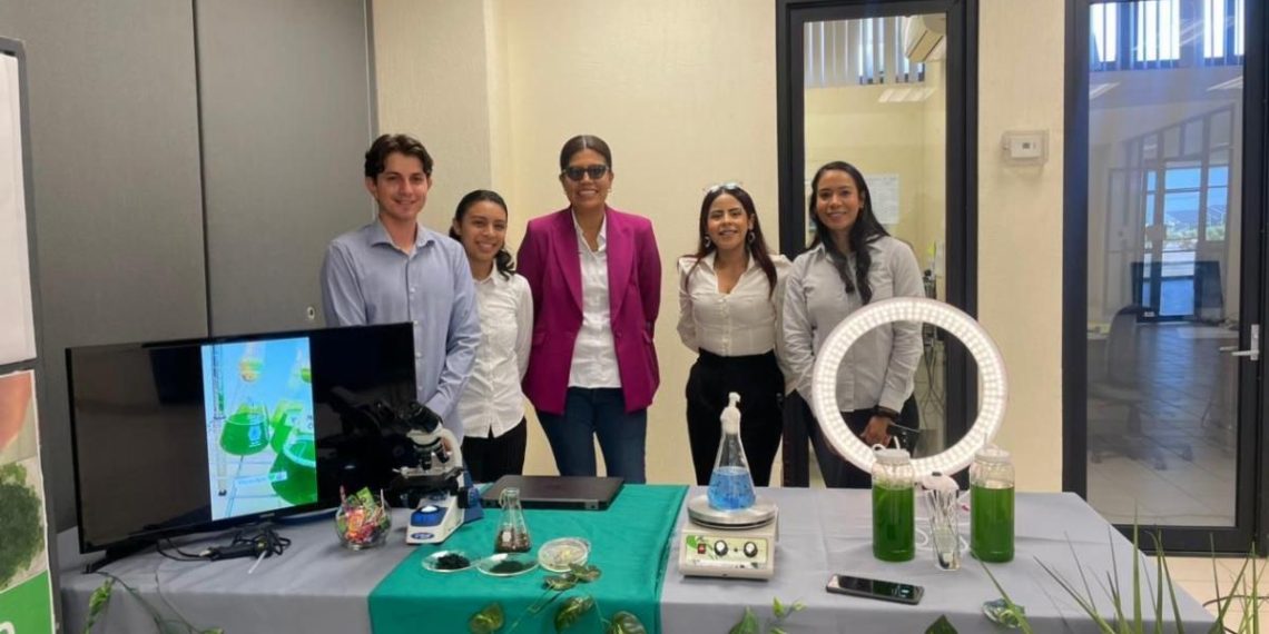 Desarrolla Universidad Tecnológica de SLRC biofertilizante a base de algas